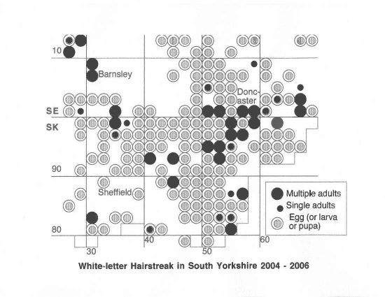 2004 - 2006 White-letter Hairstreak Distribution (2km square) - South Yorkshire