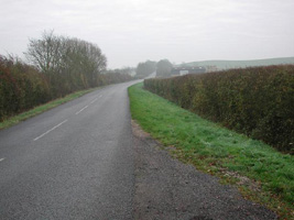 SP44 - more typical hedgerows seen in the 10km - Andrew Middleton
