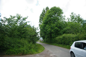 SU7904 roadside elm at 10km level  - Liz Goodyear