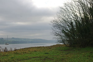 SX46 estuary view - Liz Goodyear
