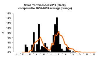 SmallTortoiseshell-phenology.jpg