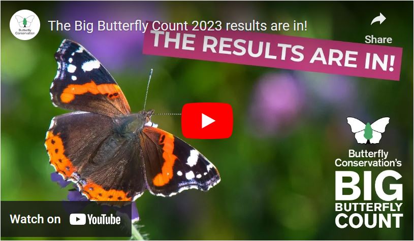 Big Butterfly Count Results 2023