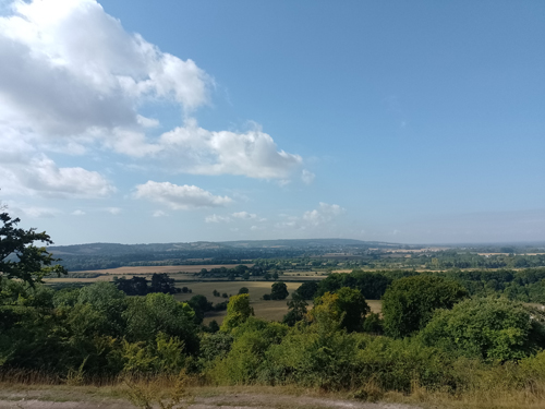 View from Aldbury Nowers - Liz Goodyear