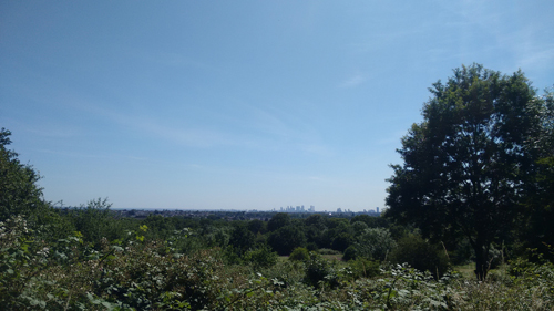Claybury Park - Liz Goodyear