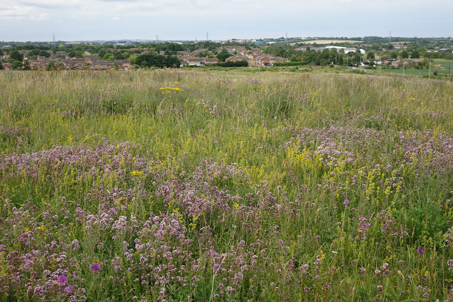 Clothall Common