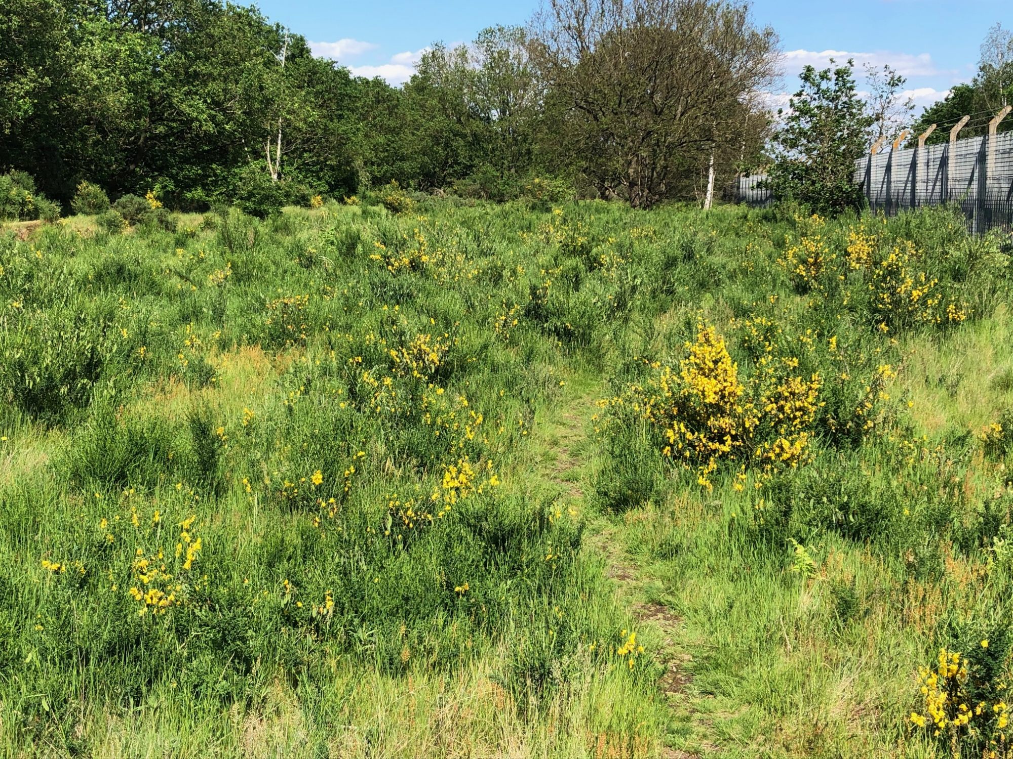 Hounslow Heath - Malcolm Hull
