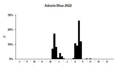 Adonis Blue branch phenology
