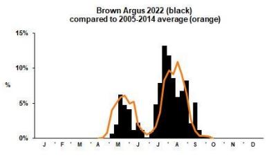 Brown Argus branch phenology