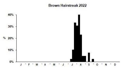 Brown Hairstreak branch phenology