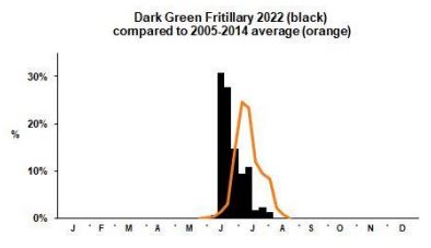 Dark Green Fritillary branch phenology