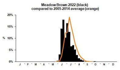 Meadow Brown branch phenology