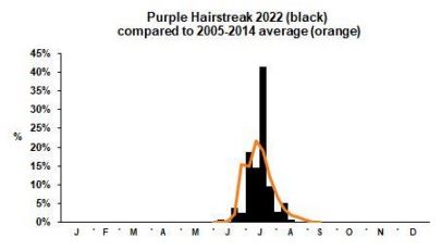 Purple Hairstreak branch phenology