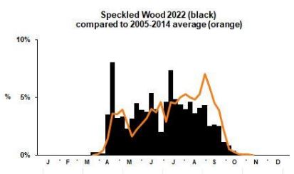 Speckled Wood branch phenology