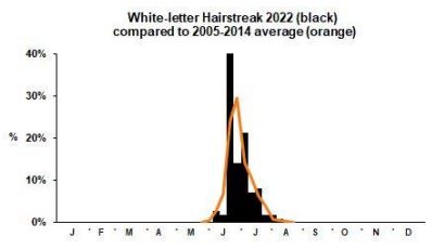 White-letter Hairstreak branch phenology