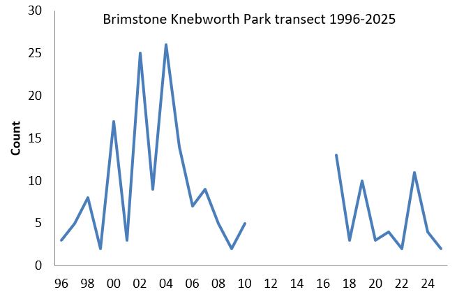 Brimstone Knebworth Park transect abundance chart