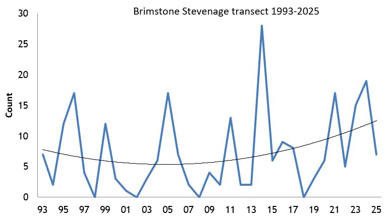 Brimstone Stevenage transect abundance chart