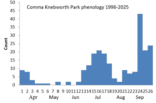 Comma Knebworth Park phenology chart Comma Knebworth Park phenology chart