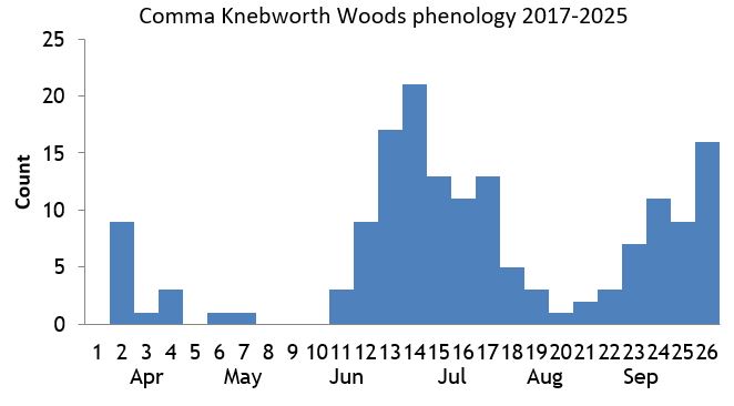 Comma Knebworth Woods phenology chart Comma Knebworth Woods phenology chart