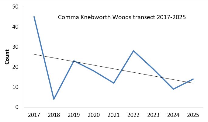 Comma Knebworth Woods transect abundance chart Comma Knebworth Woods transect abundance chart