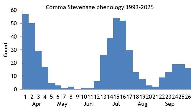 Comma Stevenage phenology chart Comma Stevenage phenology chart