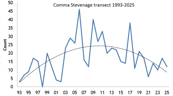 Comma Stevenage transect abundance chart Comma Stevenage transect abundance chart