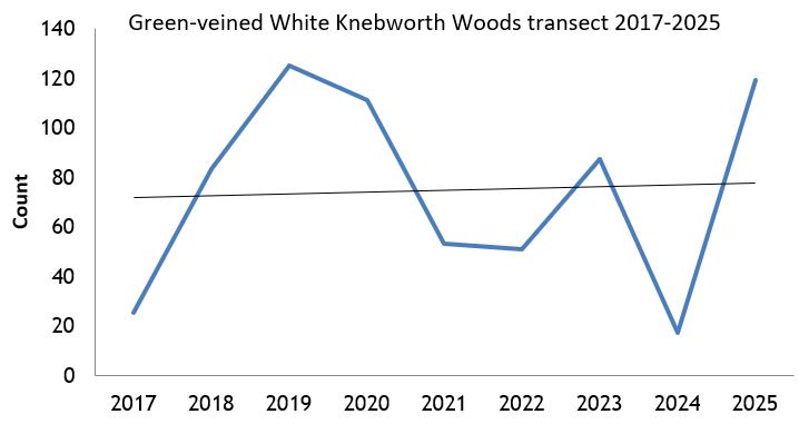 Green-veined White Knebworth Woods transect abundance chart