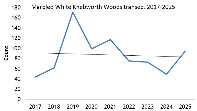 Marbled White Knebworth Woods transect abundance chart