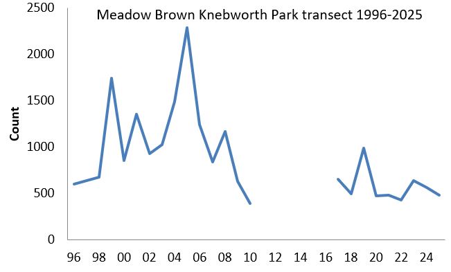 Meadow Brown Knebworth Park transect abundance chart