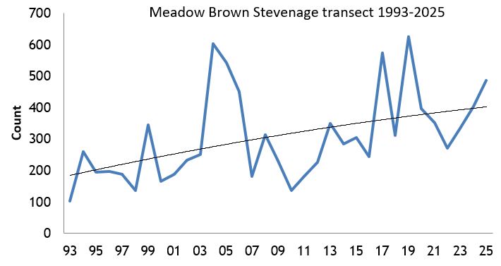  Meadow Brown Stevenage transect abundance chart