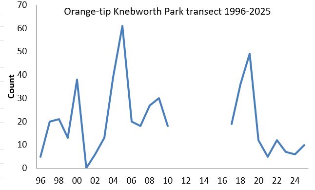 Orange-tip Knebworth Park transect abundance chart