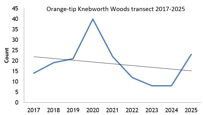 Orange-tip Knebworth Woods transect abundance chart