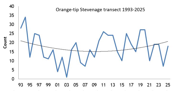  Orange-tip Stevenage transect abundance chart