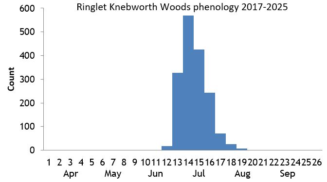 Ringlet Knebworth Woods phenology chart