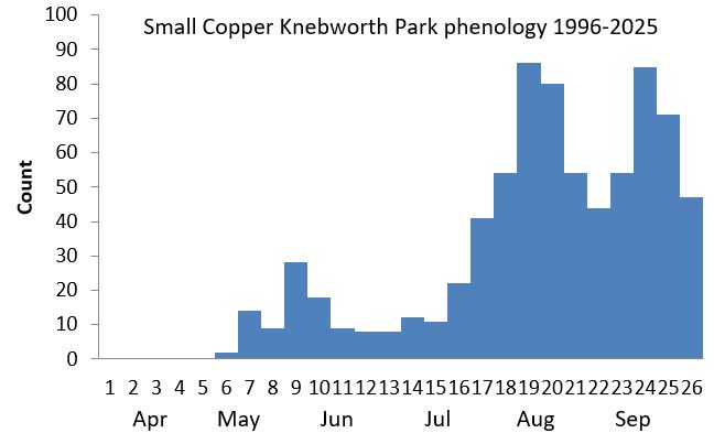 Small Copper Knebworth Park phenology chart Small Copper Knebworth Park phenology chart