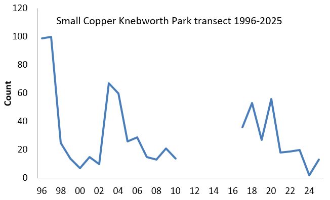 Small Copper Knebworth Park transect abundance chart Small Copper Knebworth Park transect abundance chart