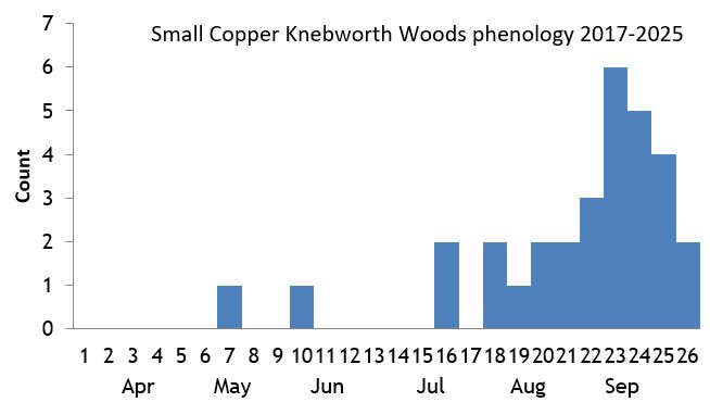 Small Copper Knebworth Woods phenology chart Small Copper Knebworth Woods phenology chart