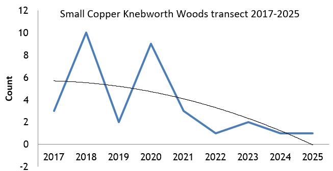 Small Copper Knebworth Woods transect abundance chart Small Copper Knebworth Woods transect abundance chart