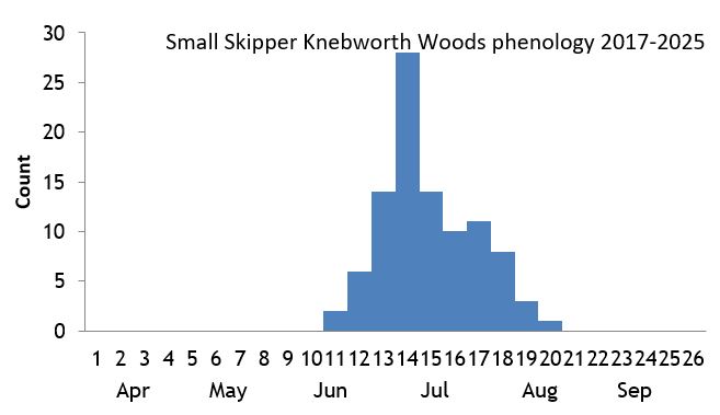 Small Skipper Knebworth Woods phenology chart Small Skipper Knebworth Woods phenology chart