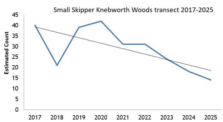 Small Skipper Knebworth Woods transect abundance chart Small Skipper Knebworth Woods transect abundance chart