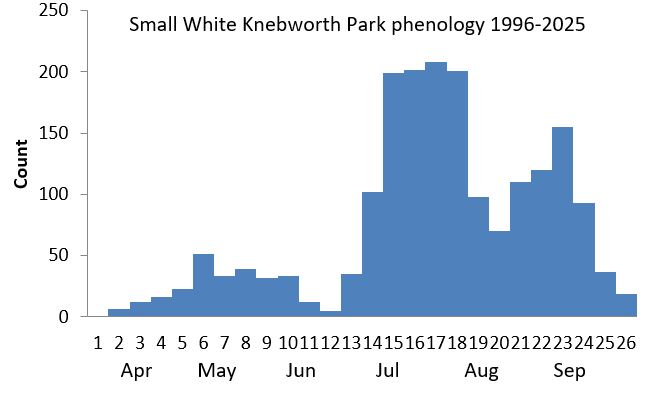 Small White Knebworth Park phenology chart