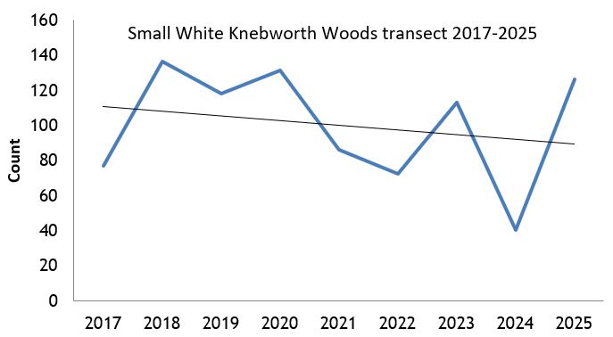 Small White Knebworth Woods transect abundance chart