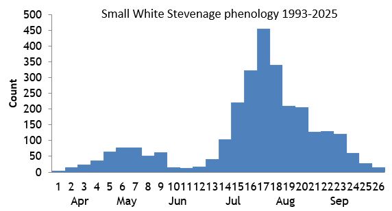 Small White Stevenage phenology chart