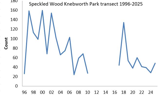 Speckled Wood Knebworth Park transect abundance chart