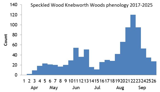 Speckled Wood Knebworth Woods phenology chart