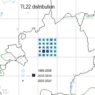 Meadow Brown TL22 distribution
