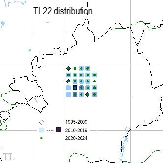 Small Copper TL22 distribution Small Copper TL22 distribution