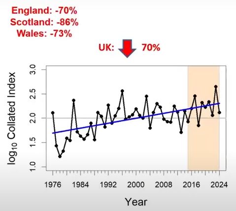 Red Admiral abundance (UKBMS)