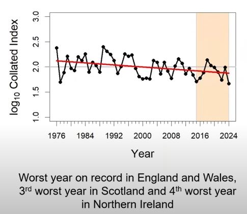 Small Copper abundance (UKBMS)