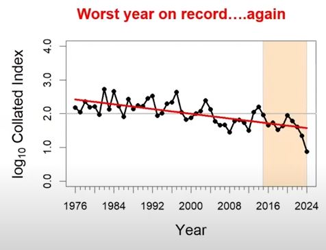Small Tortoiseshell abundance (UKBMS)