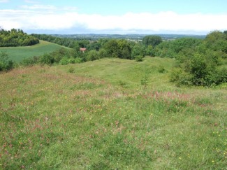 Hexton Chalk Pit